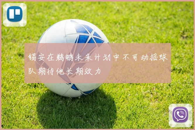 锡安在鹈鹕未来计划中不可动摇球队期待他长期效力