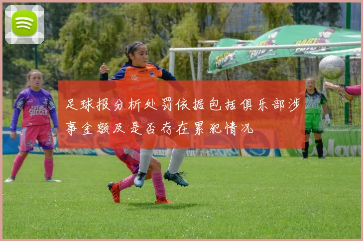 足球报分析处罚依据包括俱乐部涉事金额及是否存在累犯情况