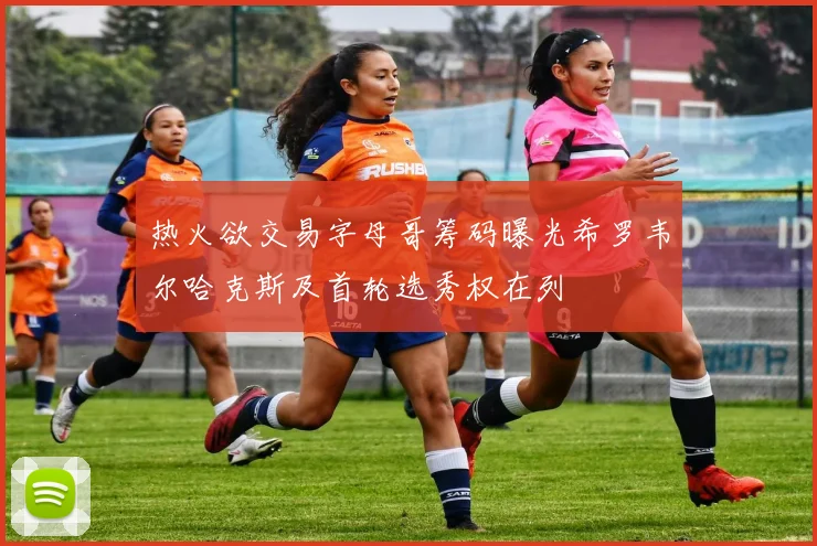 热火欲交易字母哥筹码曝光希罗韦尔哈克斯及首轮选秀权在列