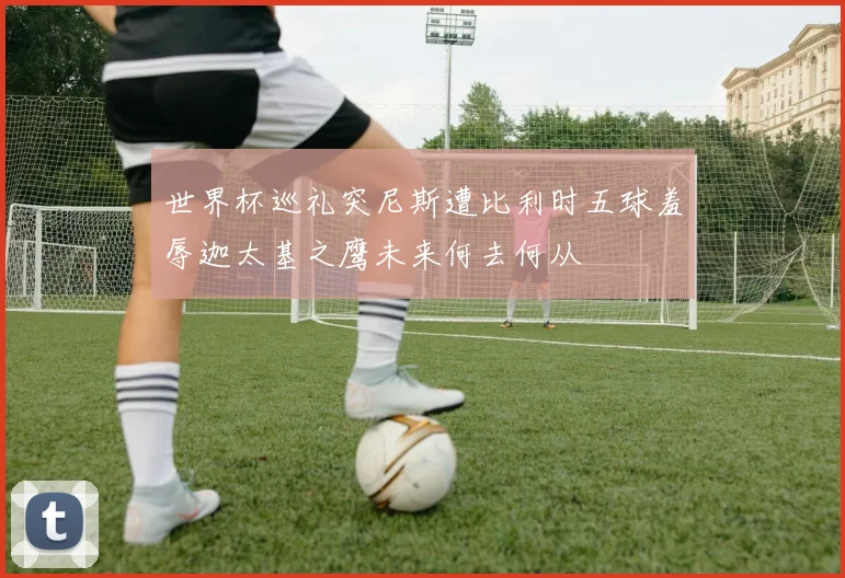 世界杯巡礼突尼斯遭比利时五球羞辱迦太基之鹰未来何去何从